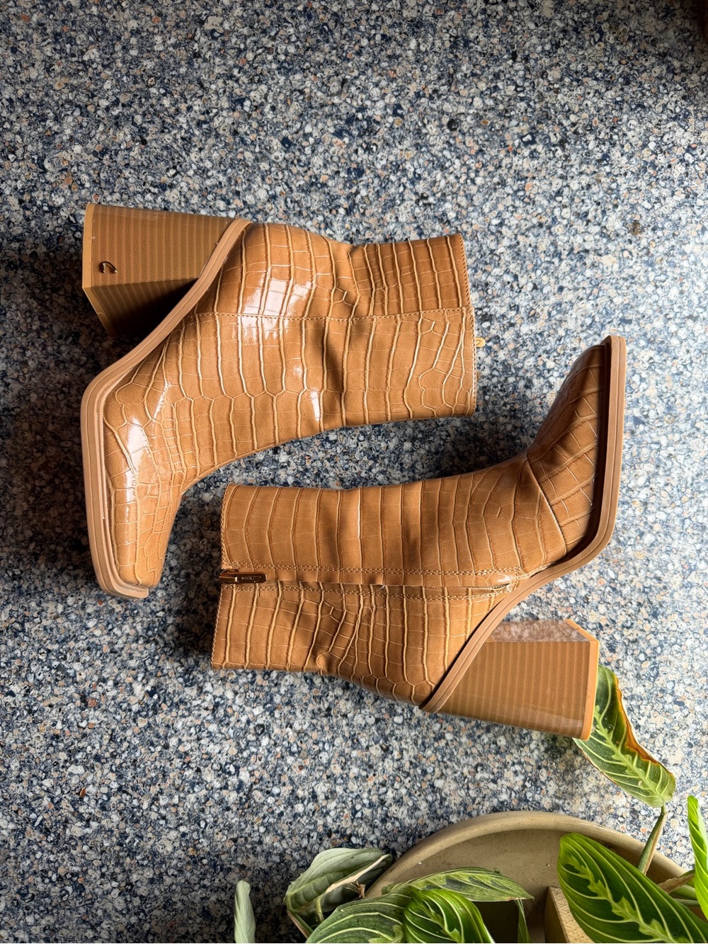 Circus by Sam Edelman Tan Croc-Embossed Block Heel Booties